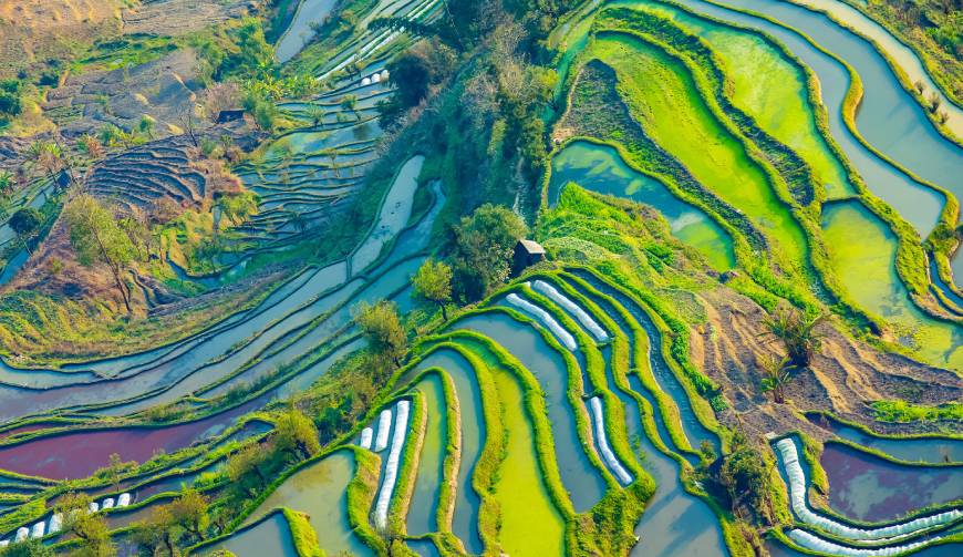 宝妈必备神器：塔城产品视频拍摄轻松育儿好帮手
